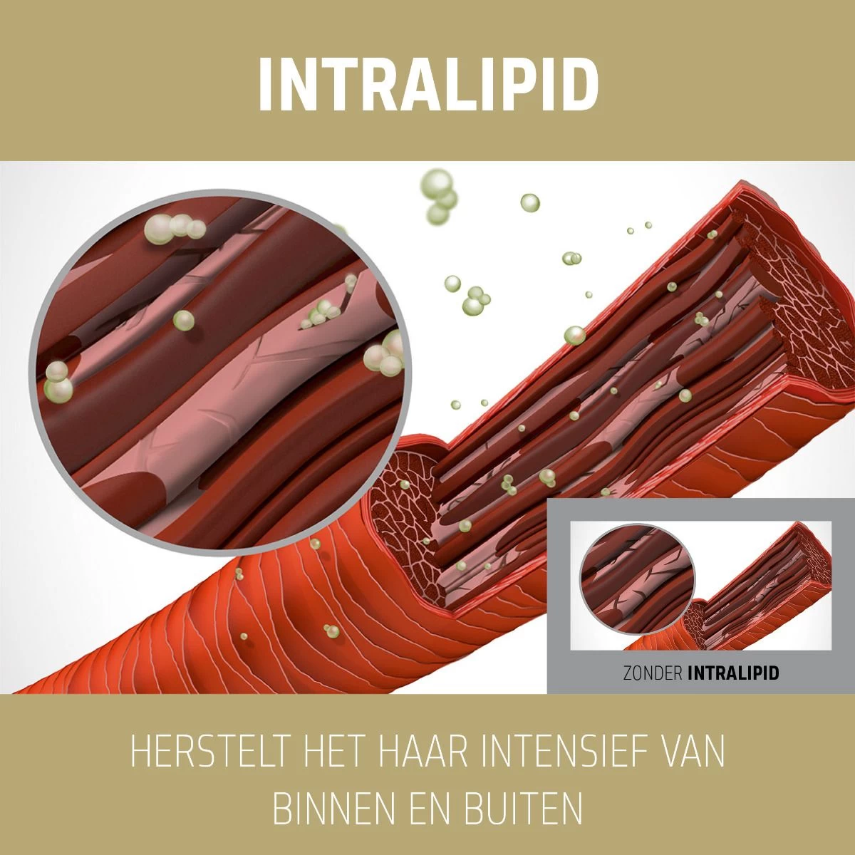 5x Goldwell Dualsenses Rich Repair 6 Effects Serum 100ml - Afbeelding 3